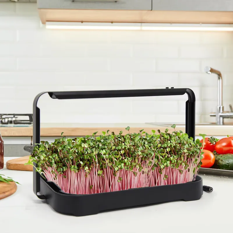 Smart Garden Kit - Hydroponic Tray Indoor Microgreen Microgreen Seeds