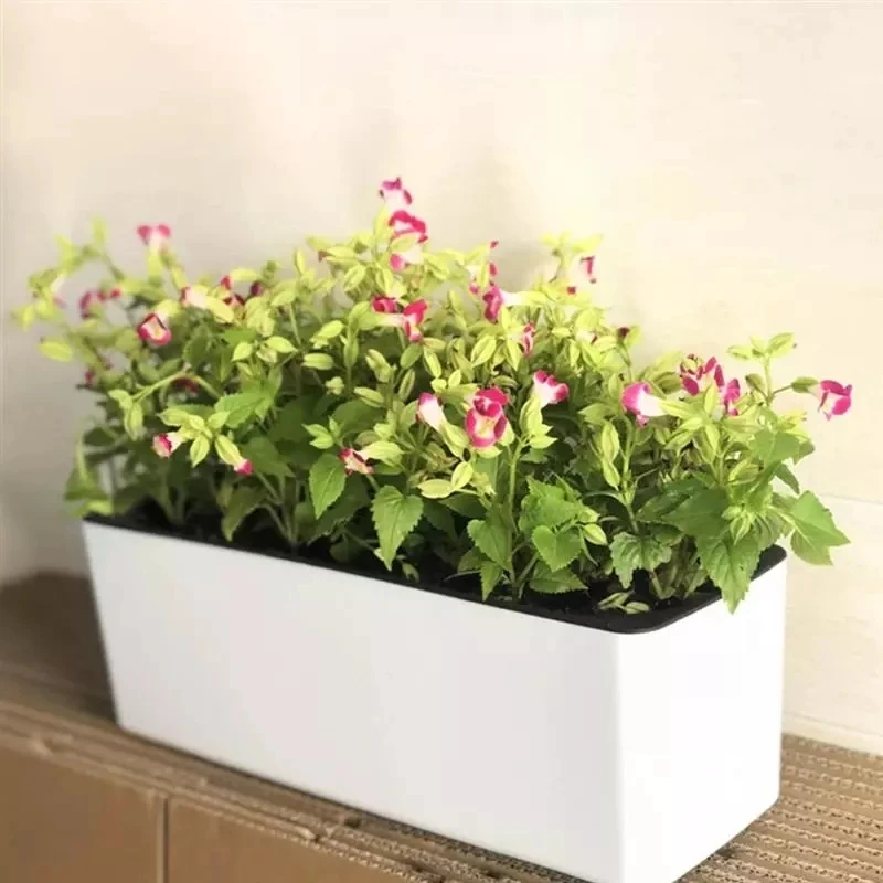 Rectangula Lazy Flower Pot Pot - Hydroponic Grow Pod recension och pris