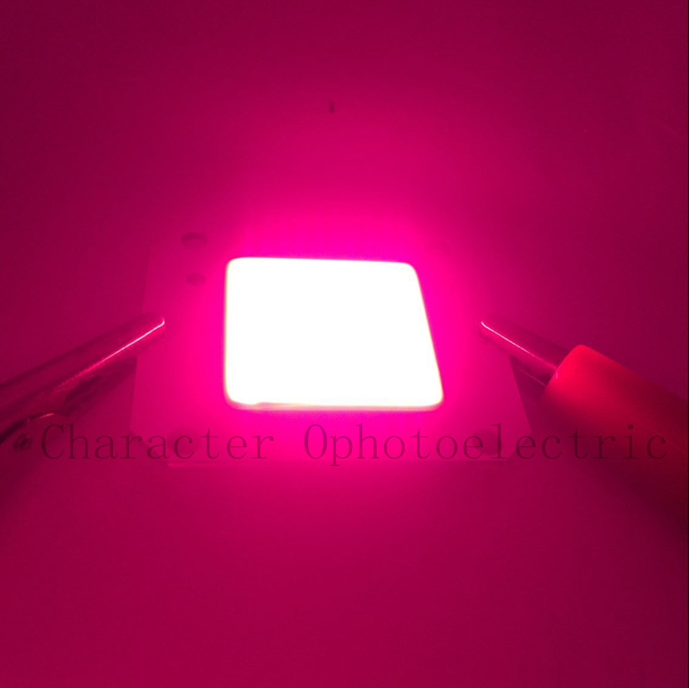 DC 12V 50W COB LED Full spectr - Grow Light Led recension och pris