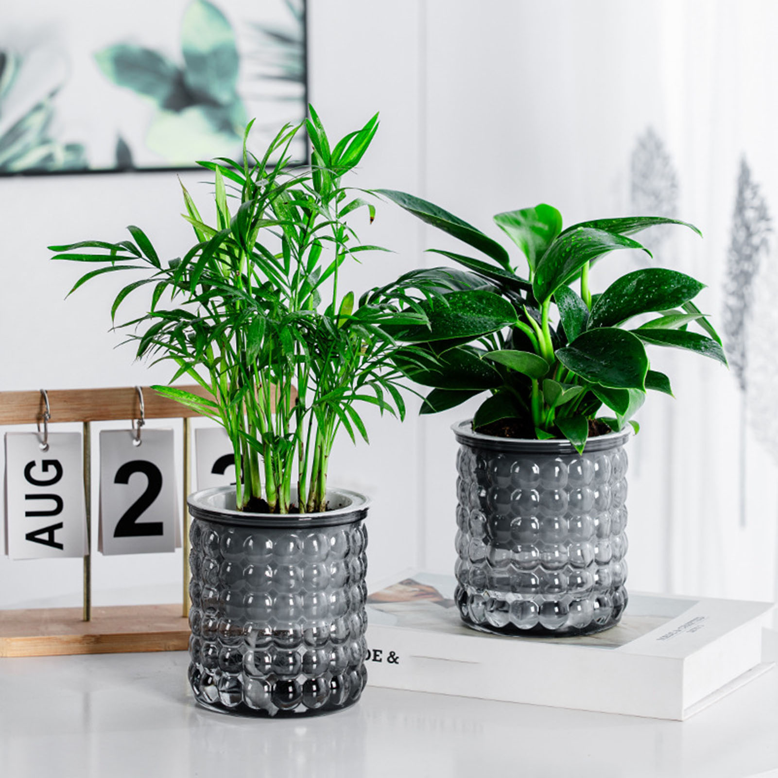 New Self Watering Hydroponic P - Hydroponic Grow Pod recension och pris