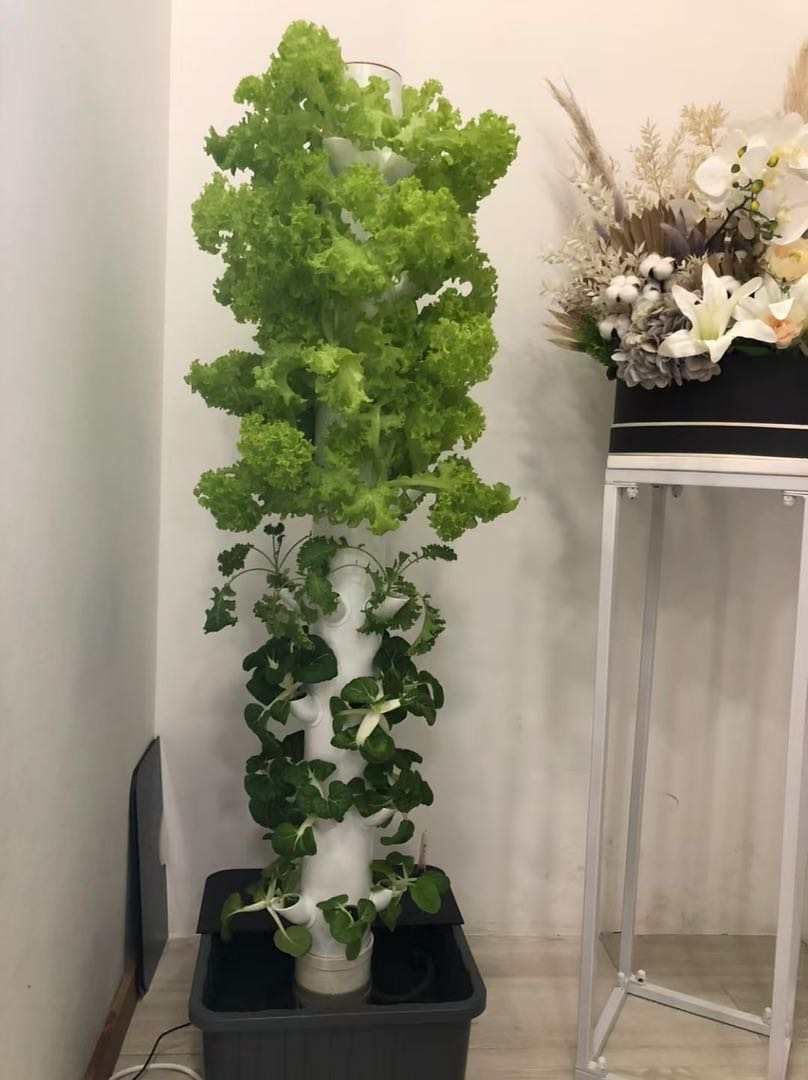 Vertical Hydroponic Grow Tower - Hydroponic Tower recension och pris