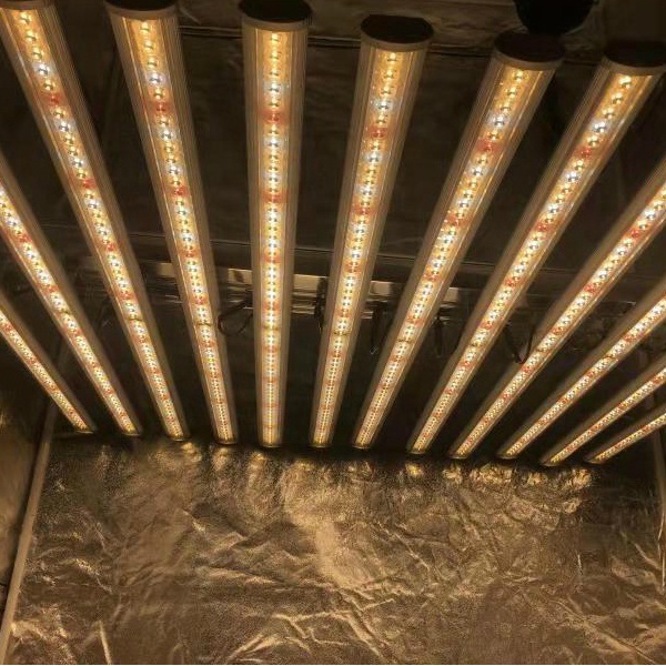 LUX China Factory Led Plant Li - Grow Light Led recension och pris