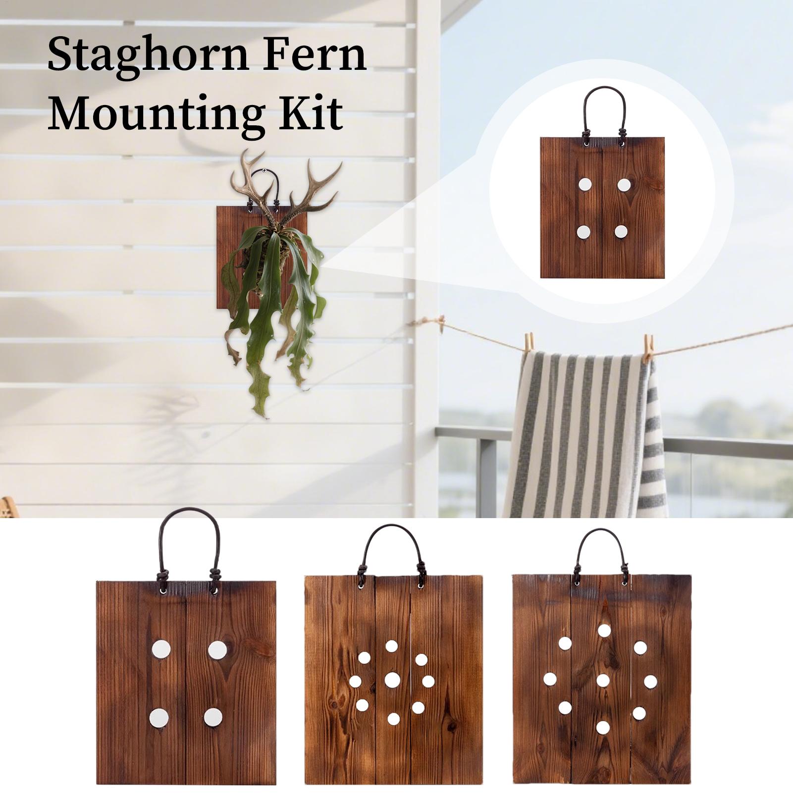 Staghorn Fern Wall Mount Board - Indoor Garden Kit recension och pris